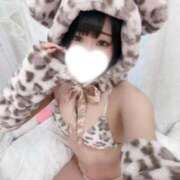 ヒメ日記 2026/01/24 15:41 投稿 くらげ LEVEL1