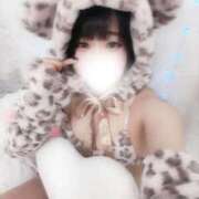 ヒメ日記 2026/02/03 12:21 投稿 くらげ LEVEL1