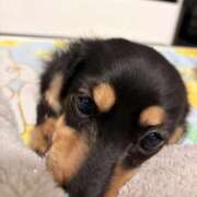 ヒメ日記 2026/03/14 23:18 投稿 くらげ LEVEL1