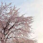 ヒメ日記 2026/03/28 20:21 投稿 くらげ LEVEL1