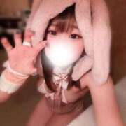 ヒメ日記 2026/04/22 01:11 投稿 くらげ LEVEL1