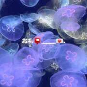 ヒメ日記 2026/06/01 20:51 投稿 くらげ LEVEL1