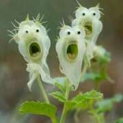 ヒメ日記 2025/03/12 11:45 投稿 たちばな【大人女子】 Select(セレクト)