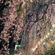 ヒメ日記 2025/03/31 13:49 投稿 たちばな【大人女子】 Select(セレクト)