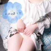 ヒメ日記 2025/04/08 12:26 投稿 たちばな【大人女子】 Select(セレクト)