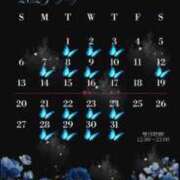 ヒメ日記 2025/06/29 11:58 投稿 たちばな【大人女子】 Select(セレクト)