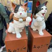 ヒメ日記 2026/02/23 16:46 投稿 たちばな【大人女子】 Select(セレクト)