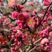 ヒメ日記 2026/02/24 19:20 投稿 たちばな【大人女子】 Select(セレクト)