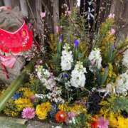 ヒメ日記 2026/03/04 12:14 投稿 たちばな【大人女子】 Select(セレクト)