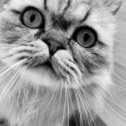 ヒメ日記 2026/03/08 08:01 投稿 たちばな【大人女子】 Select(セレクト)