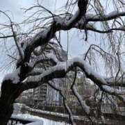 ヒメ日記 2026/03/10 09:40 投稿 たちばな【大人女子】 Select(セレクト)