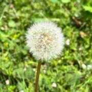 ヒメ日記 2026/04/21 08:01 投稿 たちばな【大人女子】 Select(セレクト)