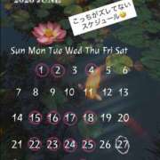 ヒメ日記 2026/06/03 17:57 投稿 たちばな【大人女子】 Select(セレクト)