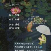 ヒメ日記 2026/06/21 18:08 投稿 たちばな【大人女子】 Select(セレクト)