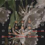 ヒメ日記 2026/08/27 20:04 投稿 たちばな【大人女子】 Select(セレクト)
