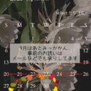 ヒメ日記 2026/09/17 12:13 投稿 たちばな【大人女子】 Select(セレクト)