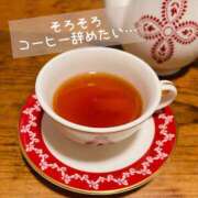 たちばな【大人女子】 ◇明日からよしなに🙃◇ Select(セレクト)