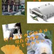 ヒメ日記 2025/09/21 20:19 投稿 梓 モアグループ西川口人妻城