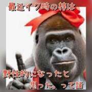 梓 梓のイキ姿はメスゴリラ🦍って話。 モアグループ西川口人妻城