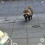 みく ぽかぽか陽気とまさかの遭遇 京都痴女性感フェチ倶楽部