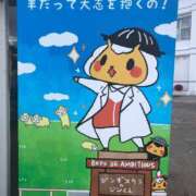 ヒメ日記 2025/05/17 08:12 投稿 せいら 奥様メモリアル