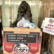 ヒメ日記 2025/11/02 10:12 投稿 せいら 奥様メモリアル