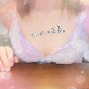 ヒメ日記 2025/12/18 07:18 投稿 せいら 奥様メモリアル