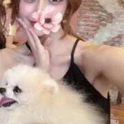 ヒメ日記 2024/12/14 18:02 投稿 みなみ INFINITY GOLD～インフィニティゴールド～