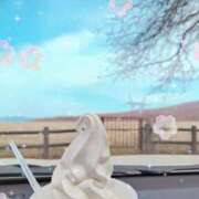 ヒメ日記 2026/04/13 15:44 投稿 さき 佐久上田人妻隊