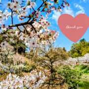 ヒメ日記 2026/04/20 09:02 投稿 さき 佐久上田人妻隊