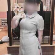 ヒメ日記 2025/09/20 19:13 投稿 藍田　みく 癒し娘診療所 水戸・ひたちなか店