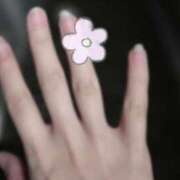 ヒメ日記 2025/11/24 16:33 投稿 藍田　みく 癒し娘診療所 水戸・ひたちなか店