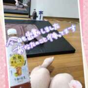 ヒメ日記 2025/05/10 08:58 投稿 水野ゆきえ 色気あるワイフ