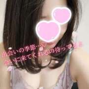 ヒメ日記 2025/04/16 22:28 投稿 水野ゆきえ ワイフコレクション