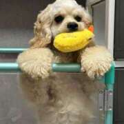 ヒメ日記 2025/04/04 18:24 投稿 ゆん ラブライフ越谷