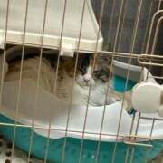 ヒメ日記 2025/05/21 00:14 投稿 ゆん ラブライフ越谷