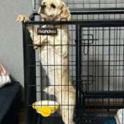 ヒメ日記 2025/06/11 18:24 投稿 ゆん ラブライフ越谷