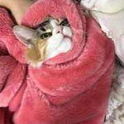 ヒメ日記 2025/06/11 21:24 投稿 ゆん ラブライフ越谷