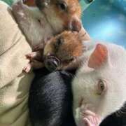 ヒメ日記 2025/06/27 18:24 投稿 ゆん ラブライフ越谷