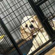 ヒメ日記 2025/07/09 19:24 投稿 ゆん ラブライフ越谷