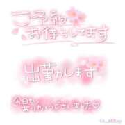 ヒメ日記 2025/04/07 09:47 投稿 音色(ねいろ) 高知デリヘル倶楽部 人妻熟女専門店