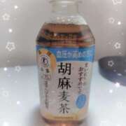 ヒメ日記 2025/04/24 16:58 投稿 まふゆ セレブクエスト-koshigaya-