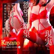 ヒメ日記 2024/12/11 10:28 投稿 かやの 奥鉄オクテツ神奈川店（デリヘル市場グループ）