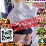 ヒメ日記 2025/11/11 09:17 投稿 かやの 奥鉄オクテツ神奈川店（デリヘル市場グループ）