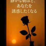 ヒメ日記 2025/11/20 08:06 投稿 かやの 奥鉄オクテツ神奈川店（デリヘル市場グループ）