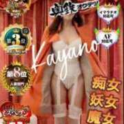 ヒメ日記 2025/11/24 18:01 投稿 かやの 奥鉄オクテツ神奈川店（デリヘル市場グループ）