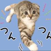 ヒメ日記 2025/12/17 19:21 投稿 かやの 奥鉄オクテツ神奈川店（デリヘル市場グループ）