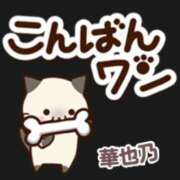 ヒメ日記 2026/01/21 19:39 投稿 かやの 奥鉄オクテツ神奈川店（デリヘル市場グループ）