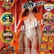 ヒメ日記 2026/02/07 19:53 投稿 かやの 奥鉄オクテツ神奈川店（デリヘル市場グループ）