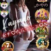 ヒメ日記 2026/02/15 20:47 投稿 かやの 奥鉄オクテツ神奈川店（デリヘル市場グループ）